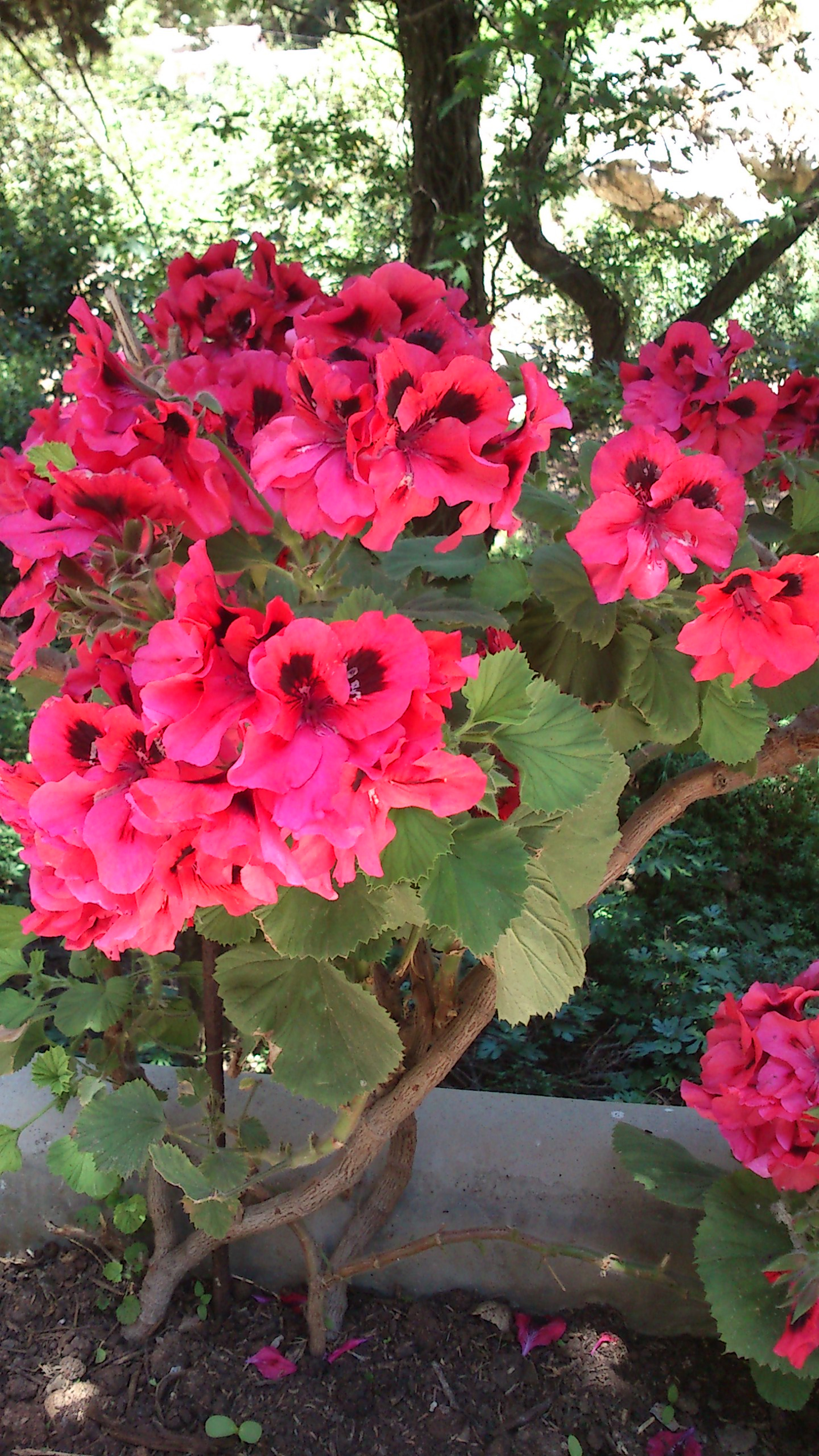 Sony Ericsson Xperia neo V sample photo. Dsc photography