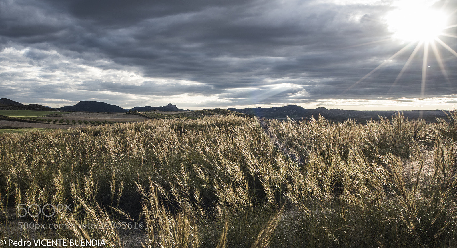 Nikon D750 sample photo. Campo de las tierras photography