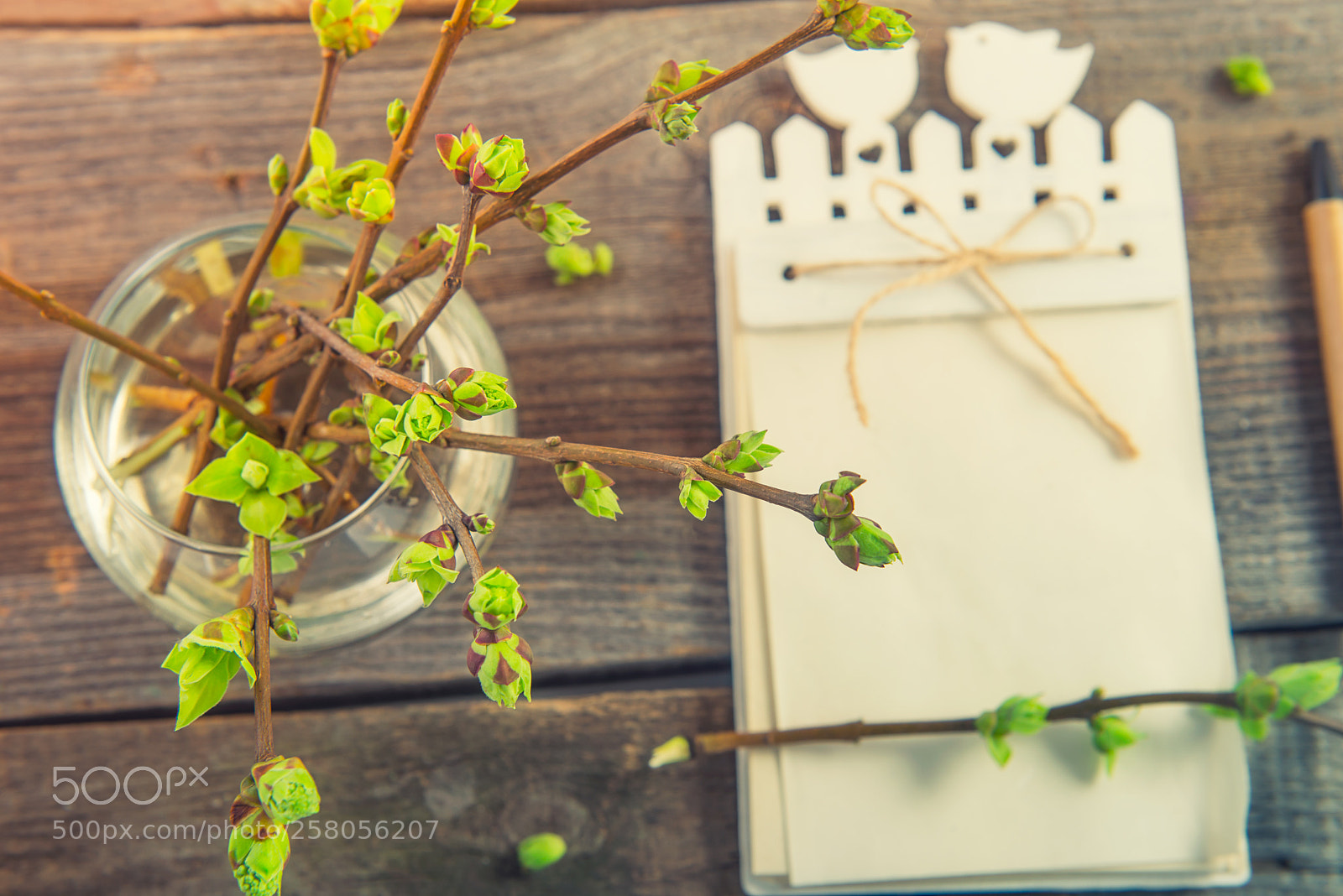 Nikon D610 sample photo. Top view vase with photography
