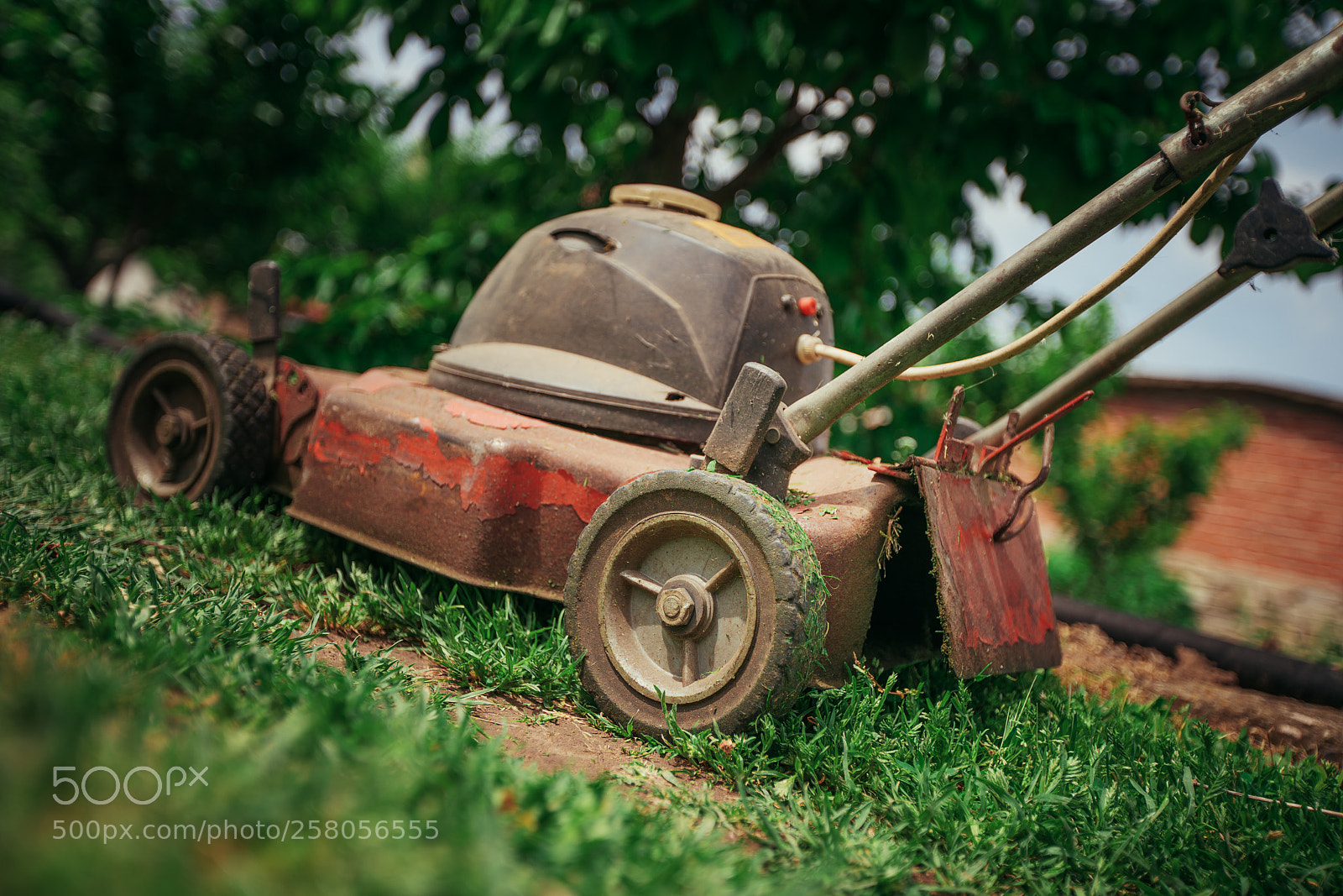 Sony a7R II sample photo. Lawn mower cutting green photography