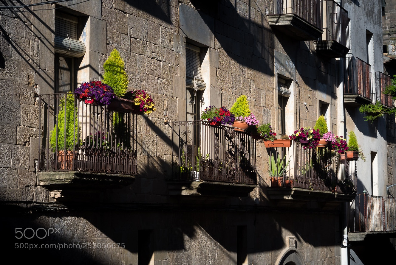 Olympus OM-D E-M1 Mark II sample photo. Balconies.. photography