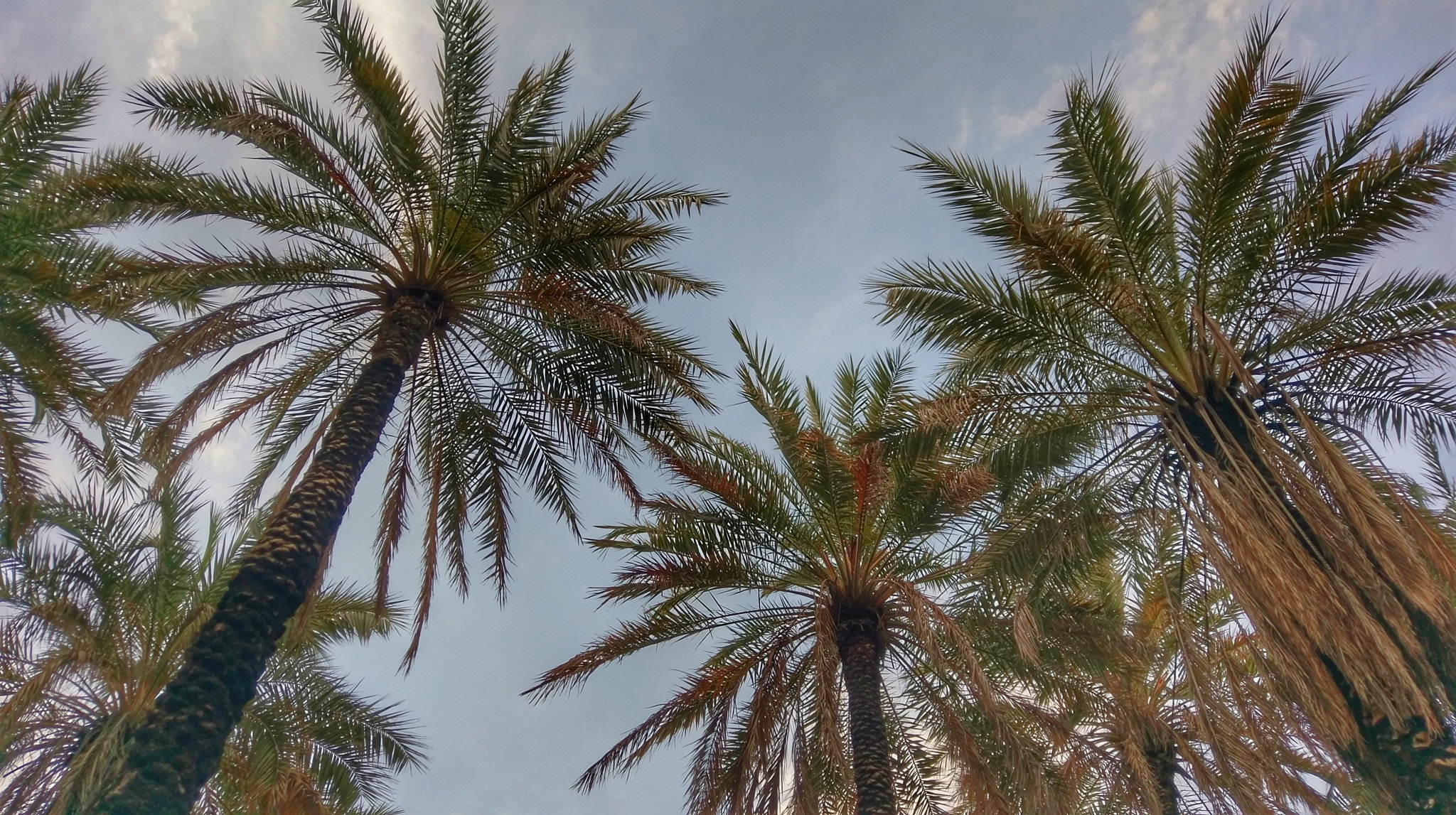 HTC 10 sample photo. Untitled photography