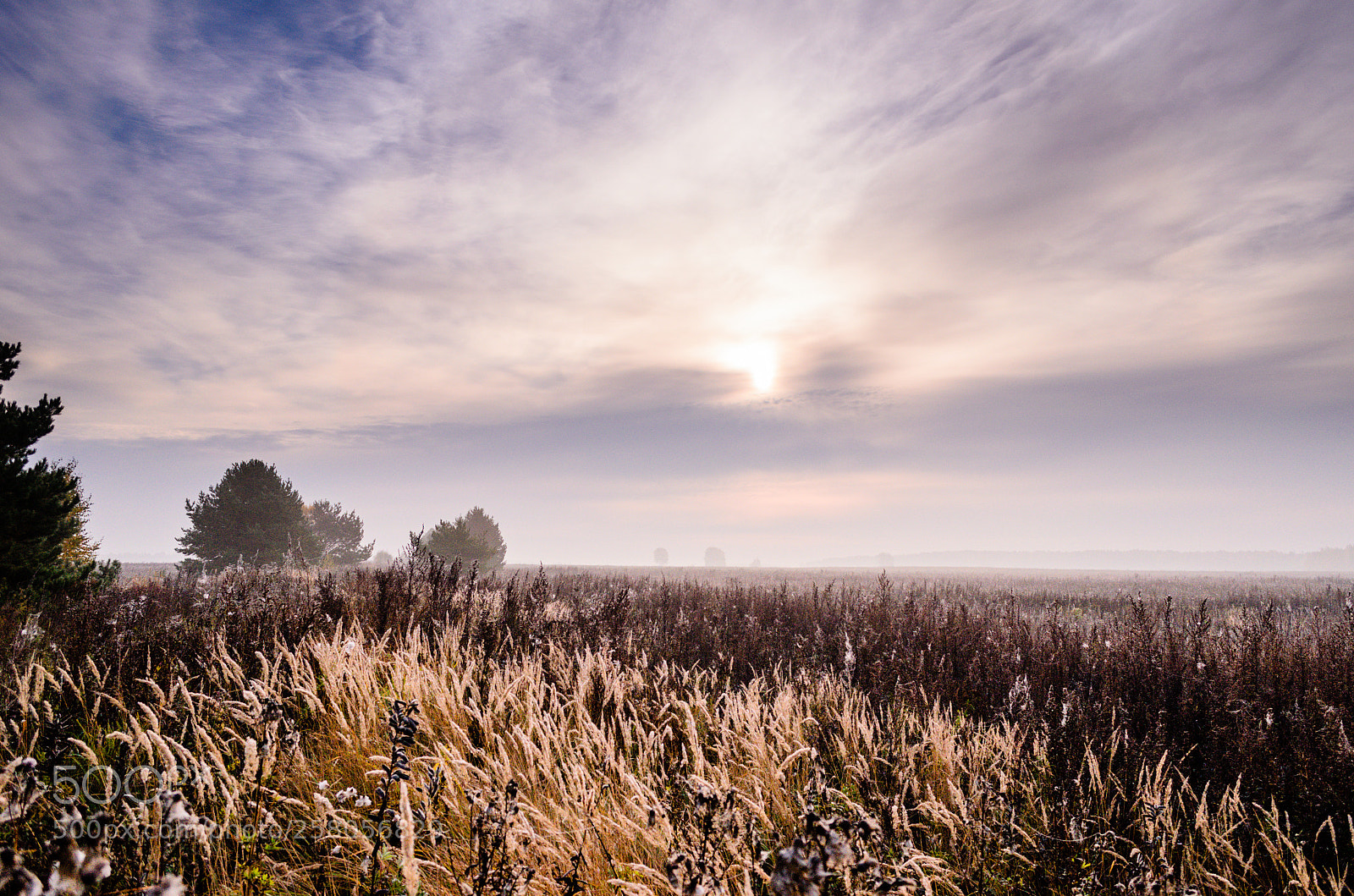 Nikon D5100 sample photo. Morning photography