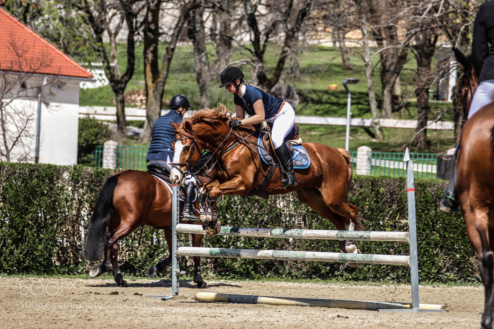 Canon EOS 77D (EOS 9000D / EOS 770D) sample photo. Lipica photography