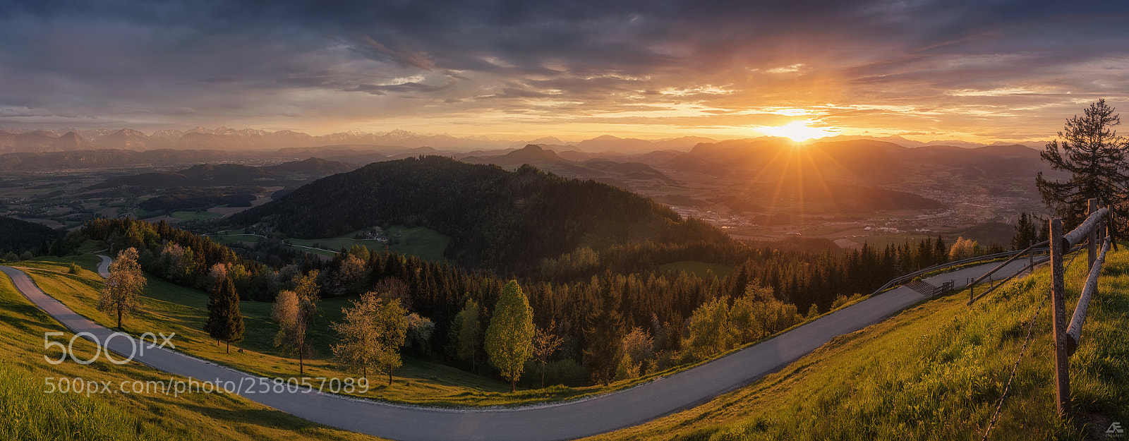 Canon EOS 5D Mark IV sample photo. Golden light photography