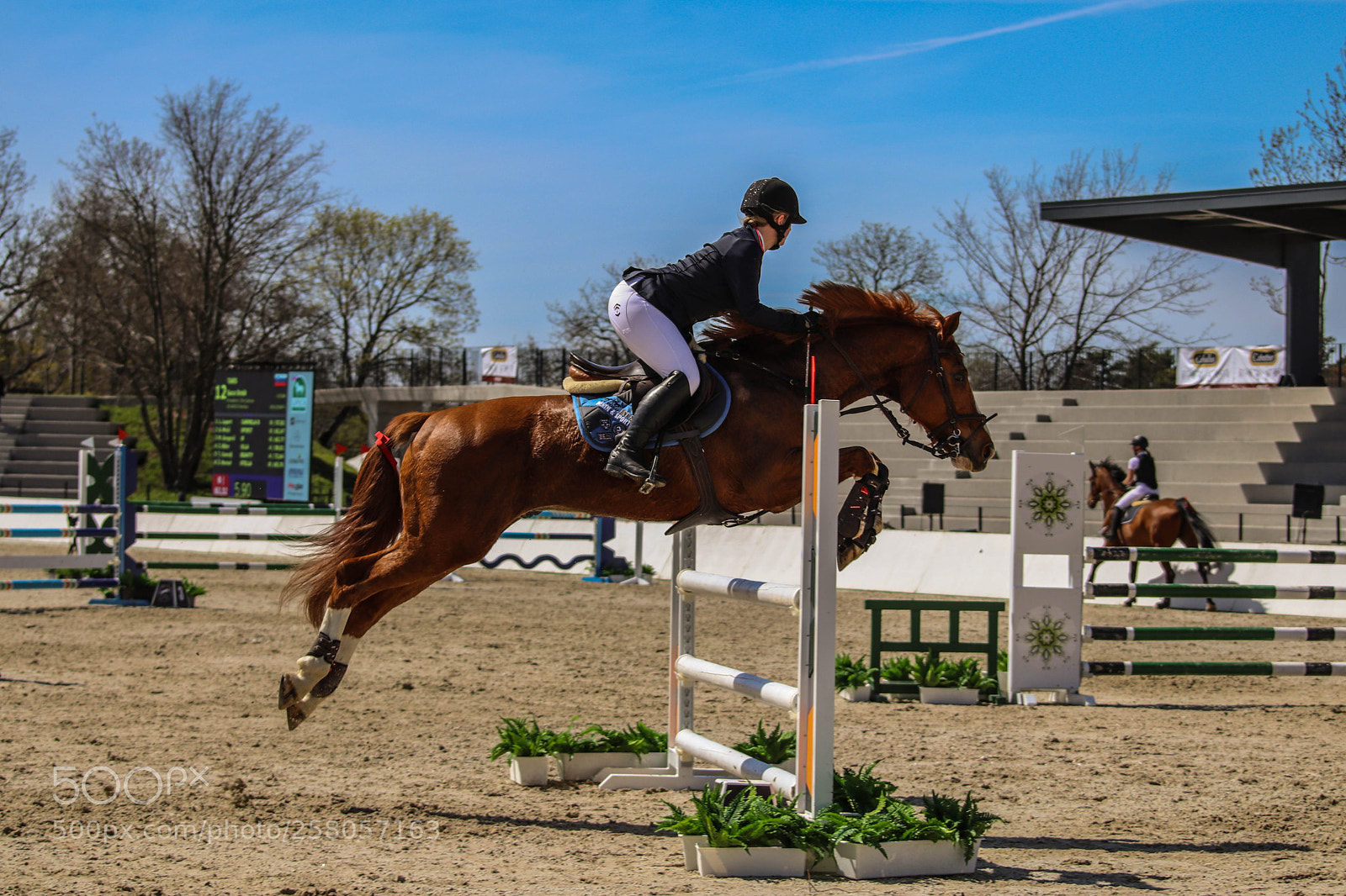 Canon EOS 77D (EOS 9000D / EOS 770D) sample photo. Jump photography