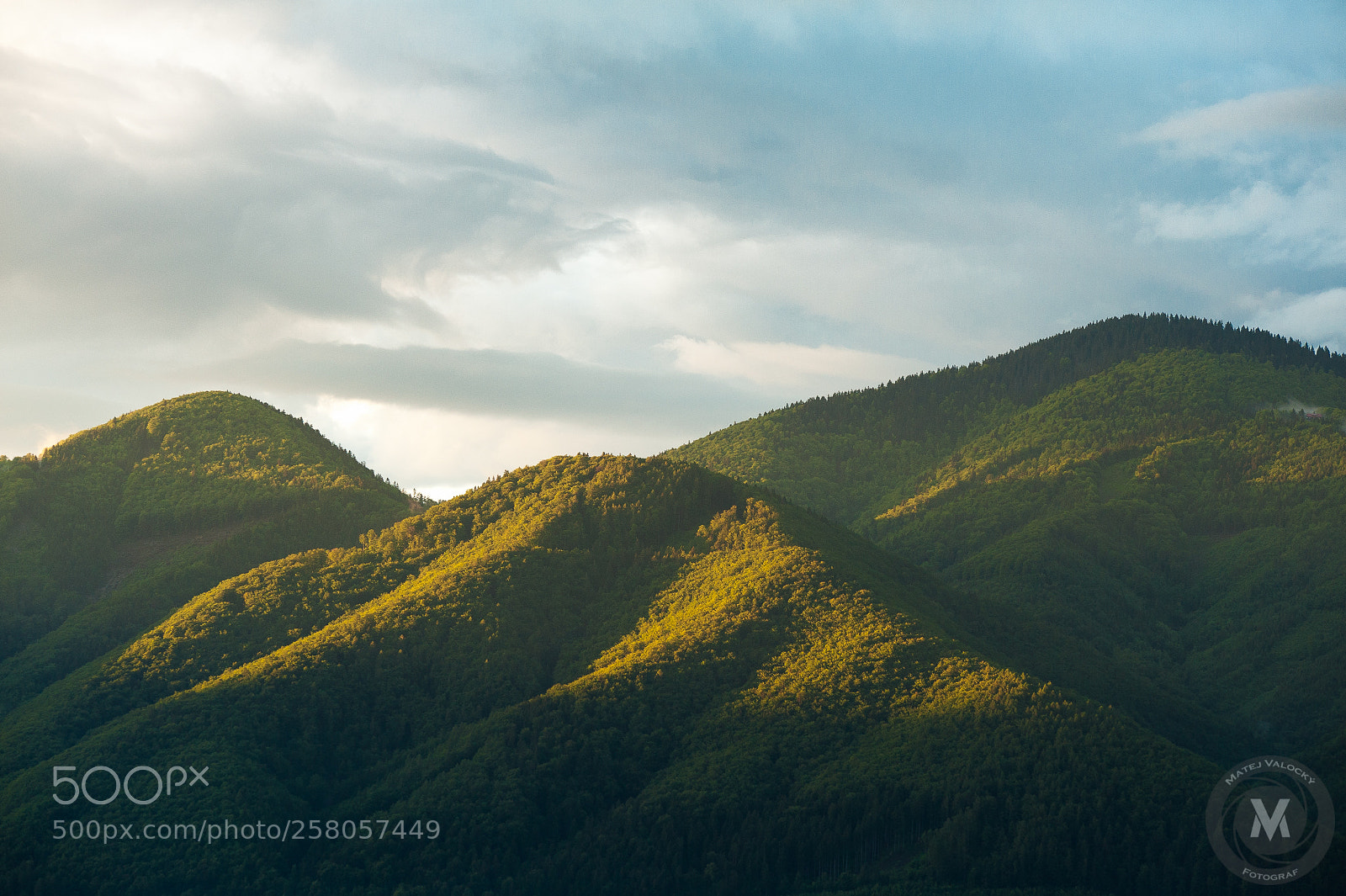 Nikon D700 sample photo. 700_0552-2.jpg photography