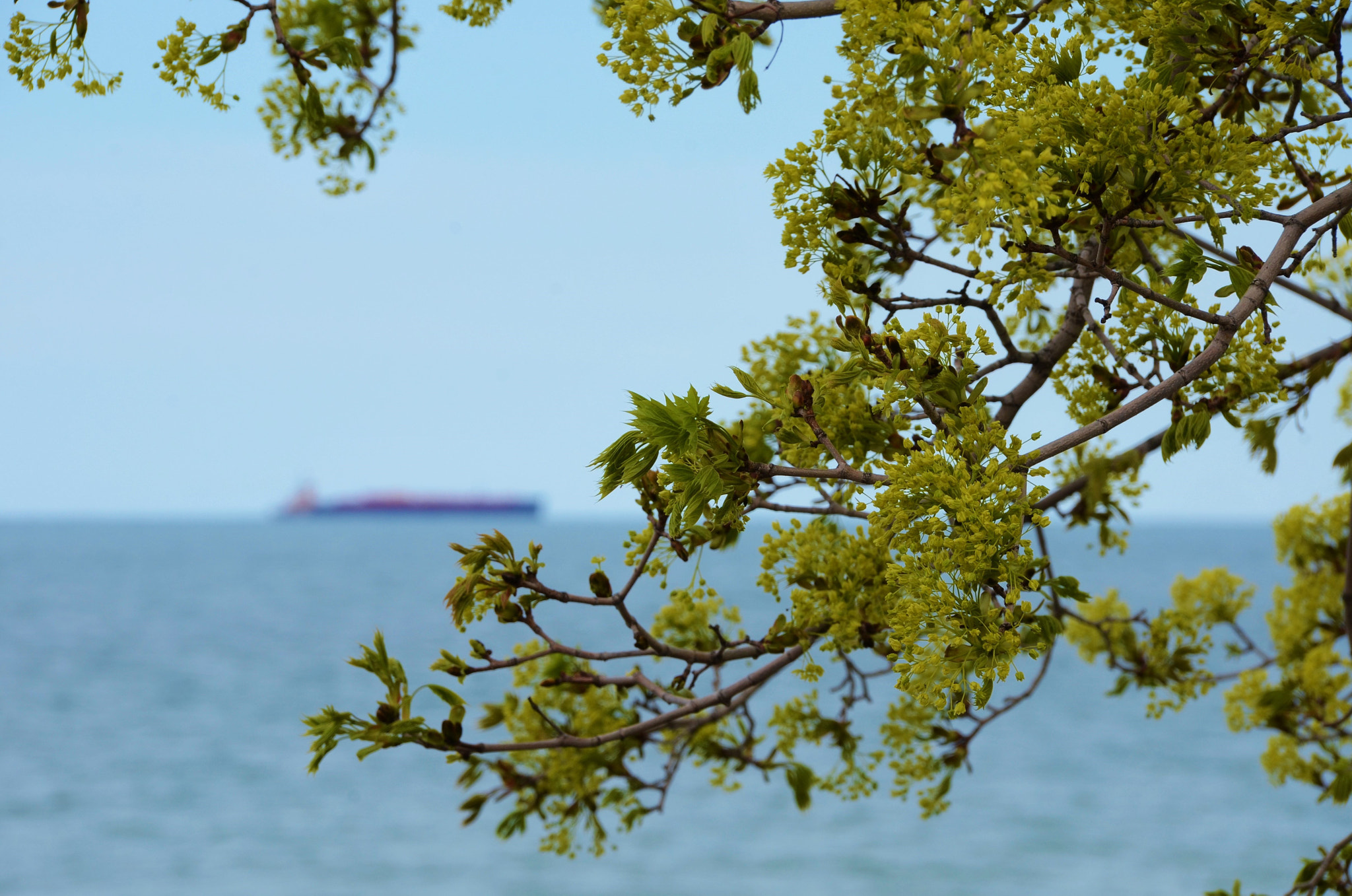 Nikon D7000 sample photo. (a new start-2) photography