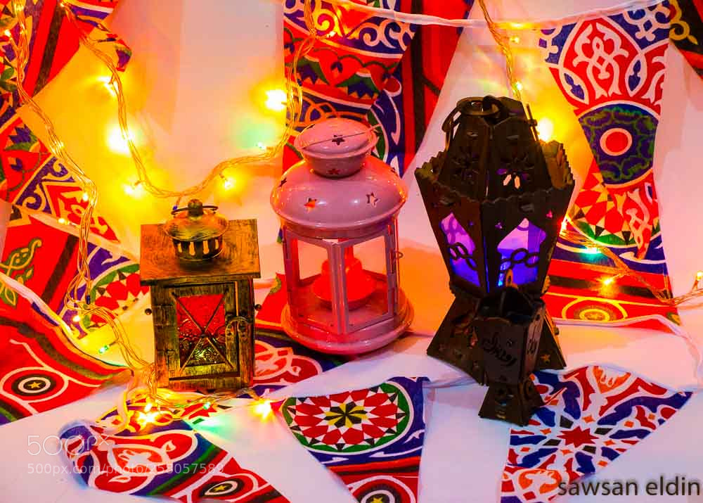Canon EOS 70D sample photo. Untitled photography