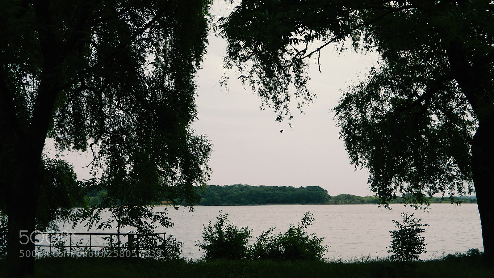 Nikon Coolpix L120 sample photo. The beauty of nature photography