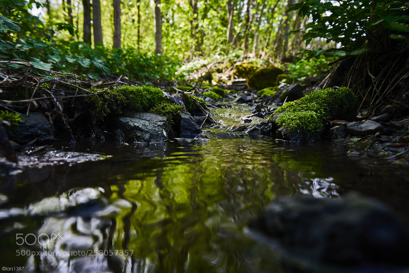 Sony a7R II sample photo. Flowing calmly photography
