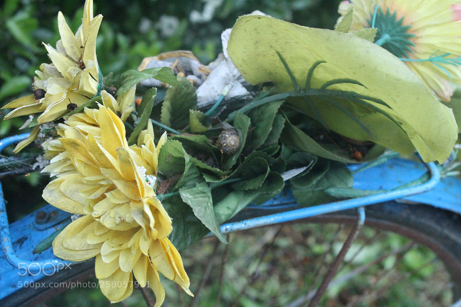 Canon EOS 1300D (EOS Rebel T6 / EOS Kiss X80) sample photo. Chiocciola photography