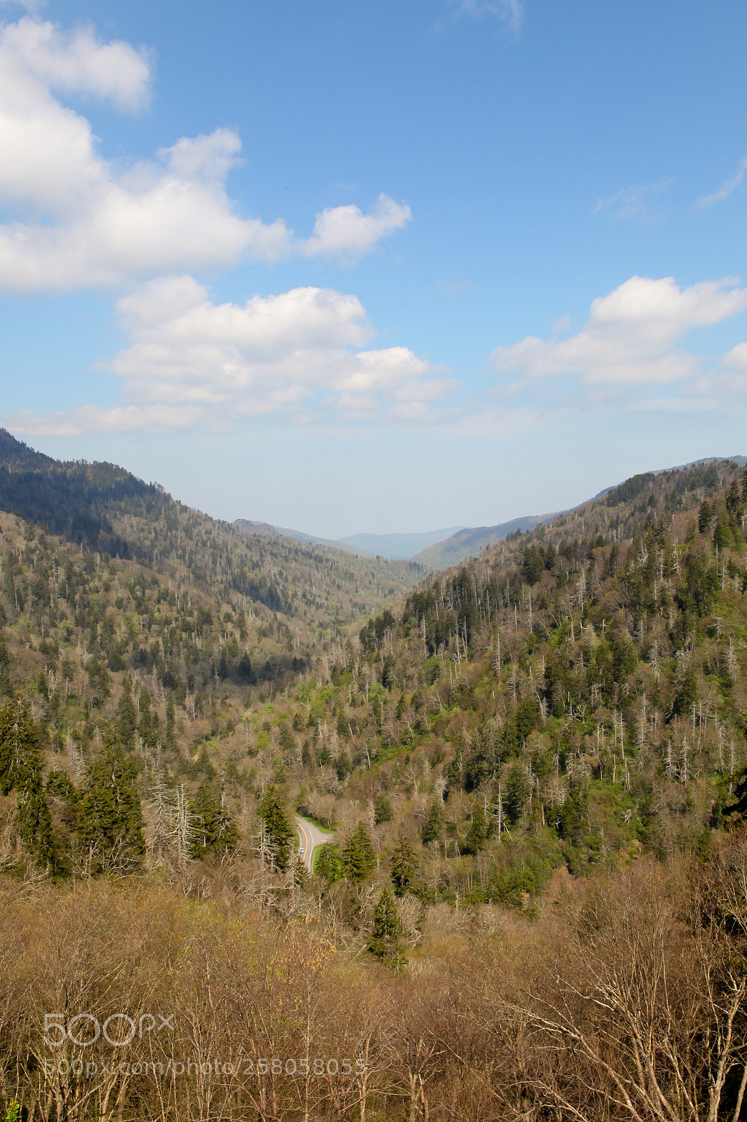 Canon EOS 5D Mark II sample photo. 0518 photography