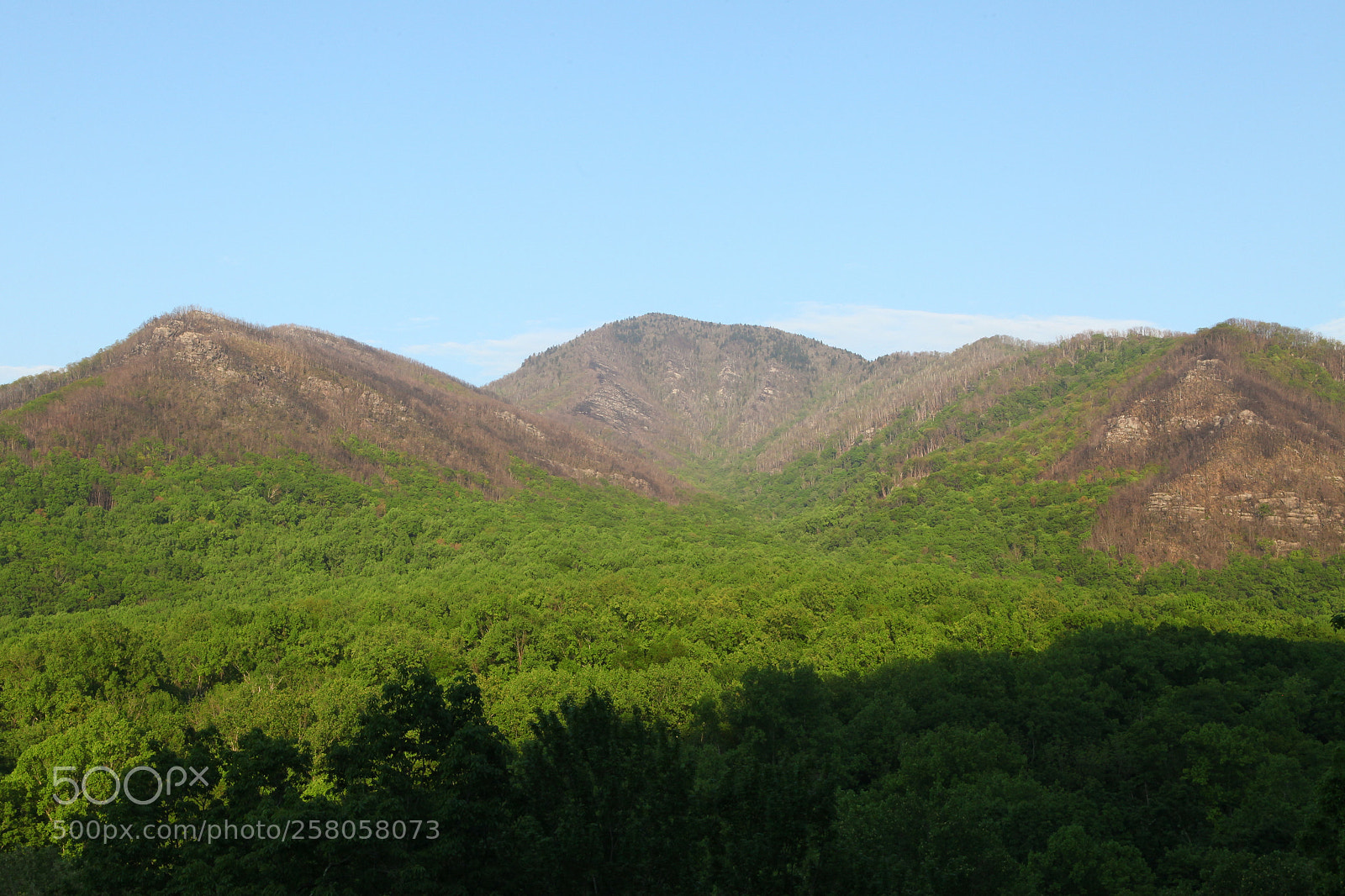 Canon EOS 5D Mark II sample photo. 0518 photography