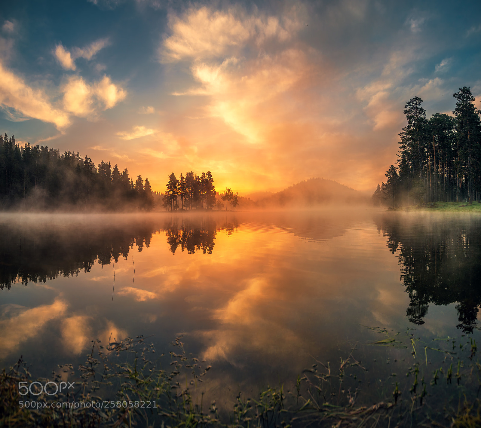 Canon EOS 5D Mark IV sample photo. Morning fog on the photography
