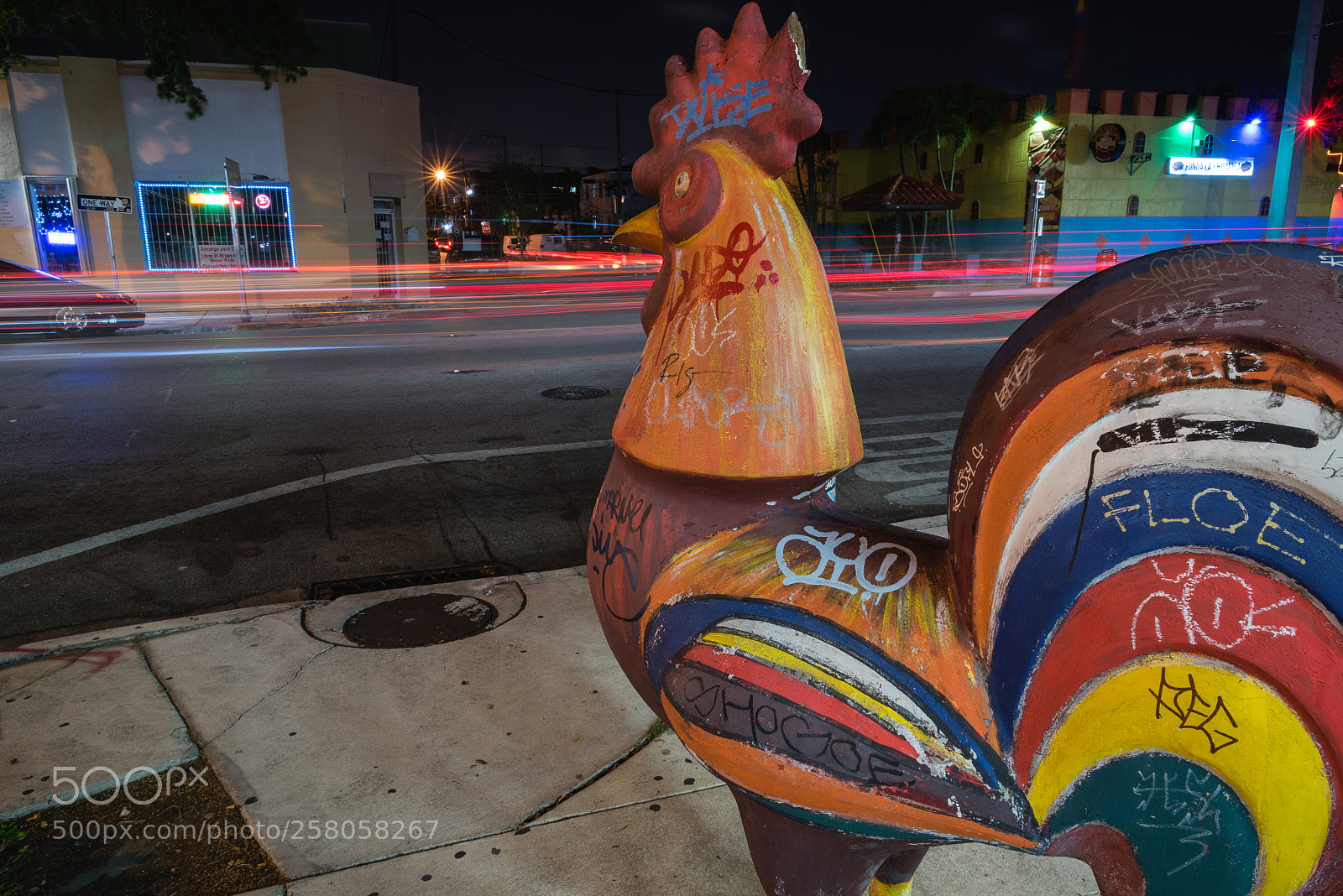 Nikon D750 sample photo. Cuban rooster photography