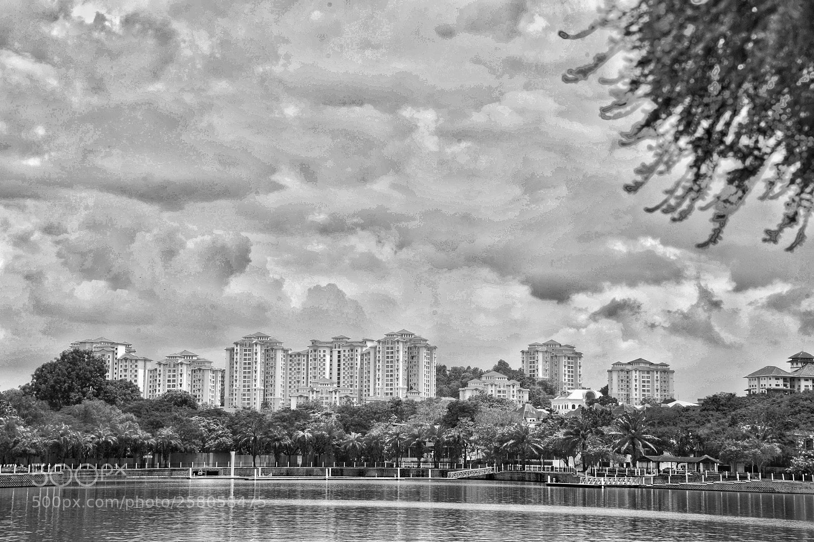 Nikon D700 sample photo. Untitled photography