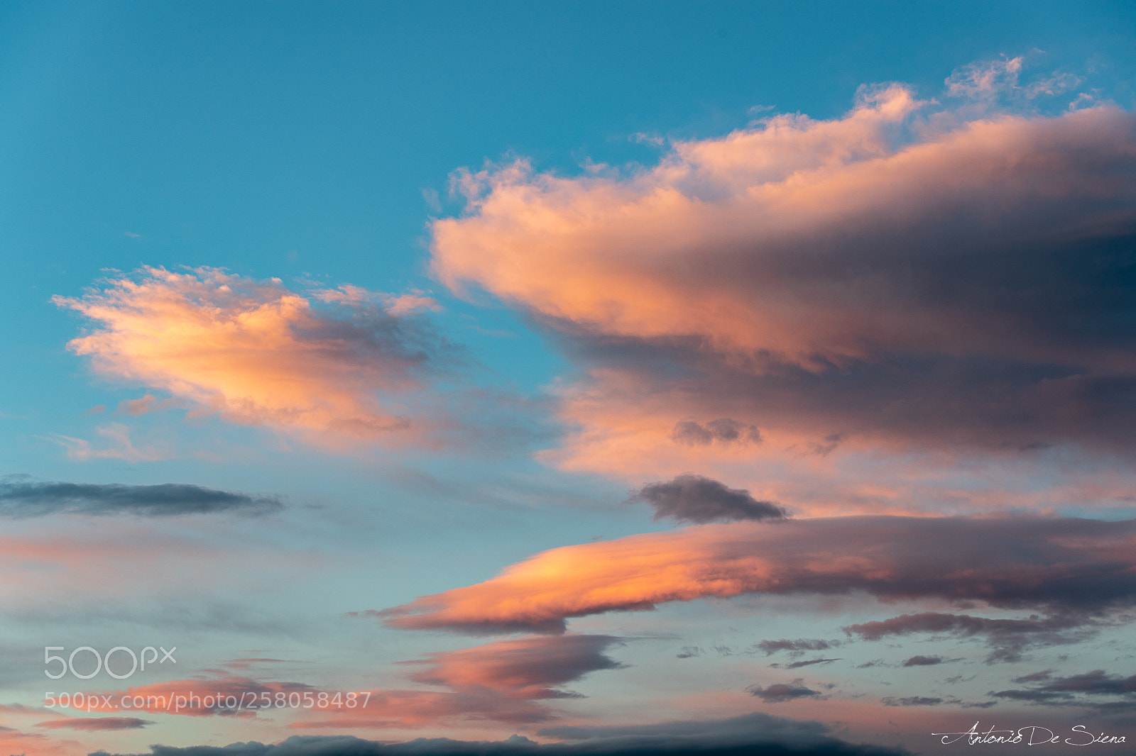 Nikon D5 sample photo. Pink clouds photography