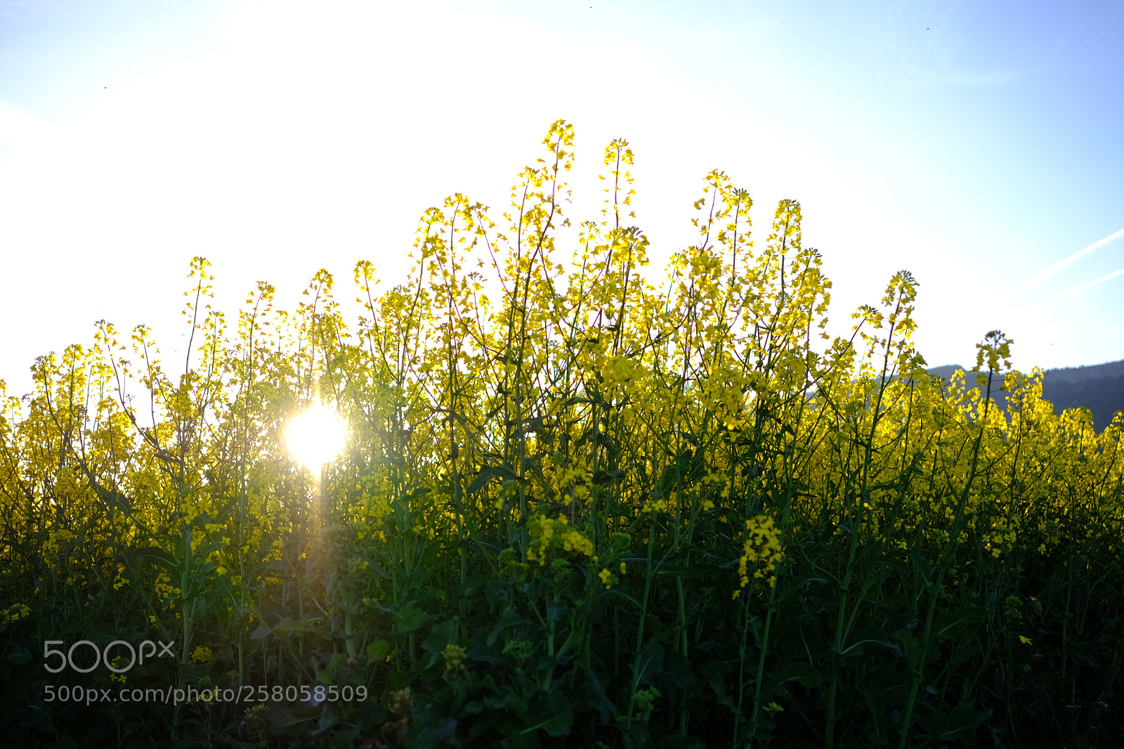 Fujifilm X-E3 sample photo. Vivid photography