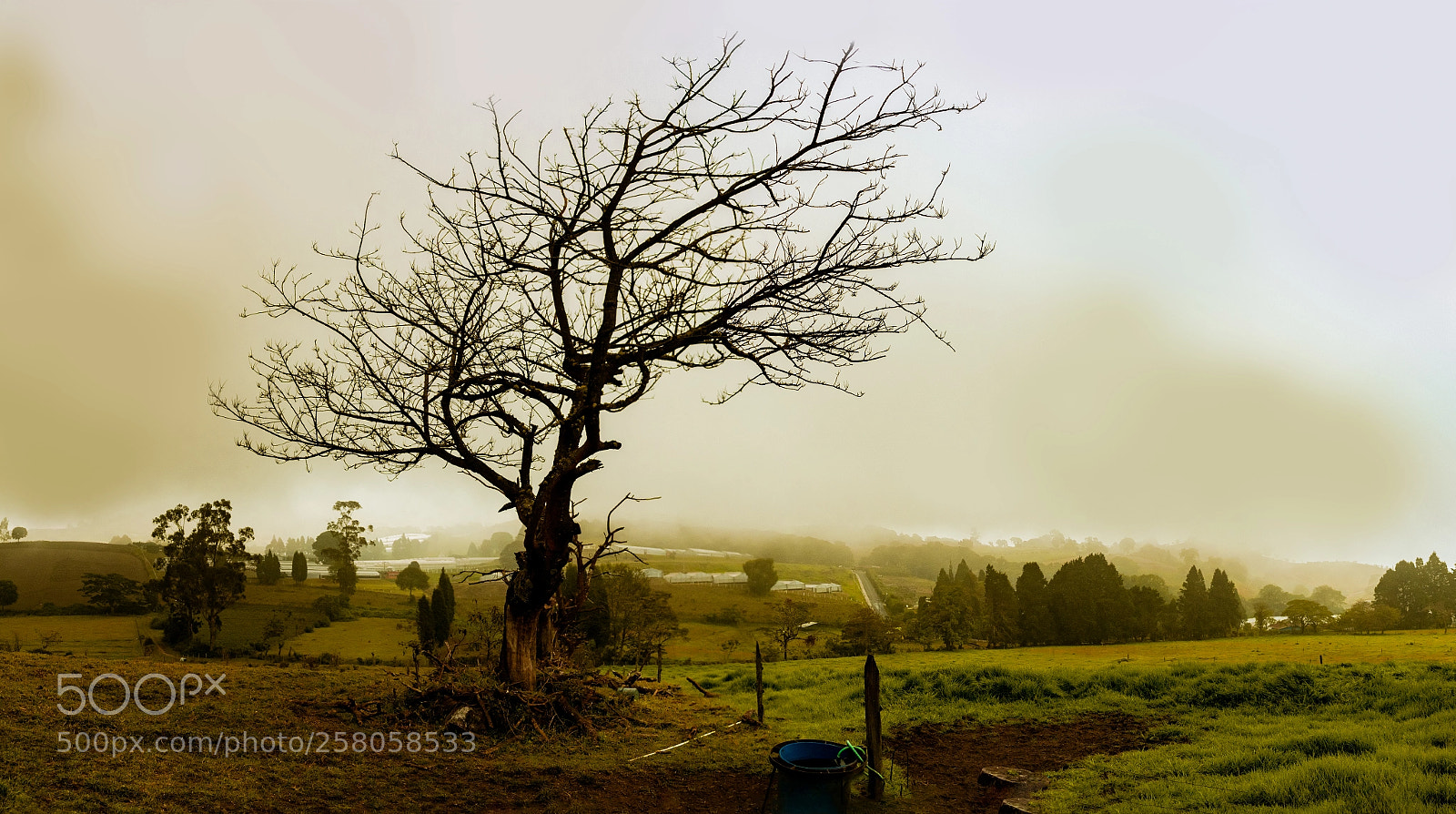 Nikon D5300 sample photo. Paraje nublado photography