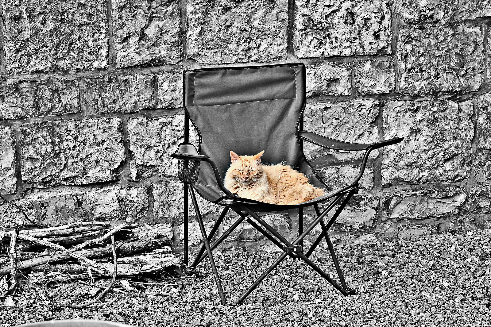 Canon EOS 600D (Rebel EOS T3i / EOS Kiss X5) sample photo. Sleeping cat photography