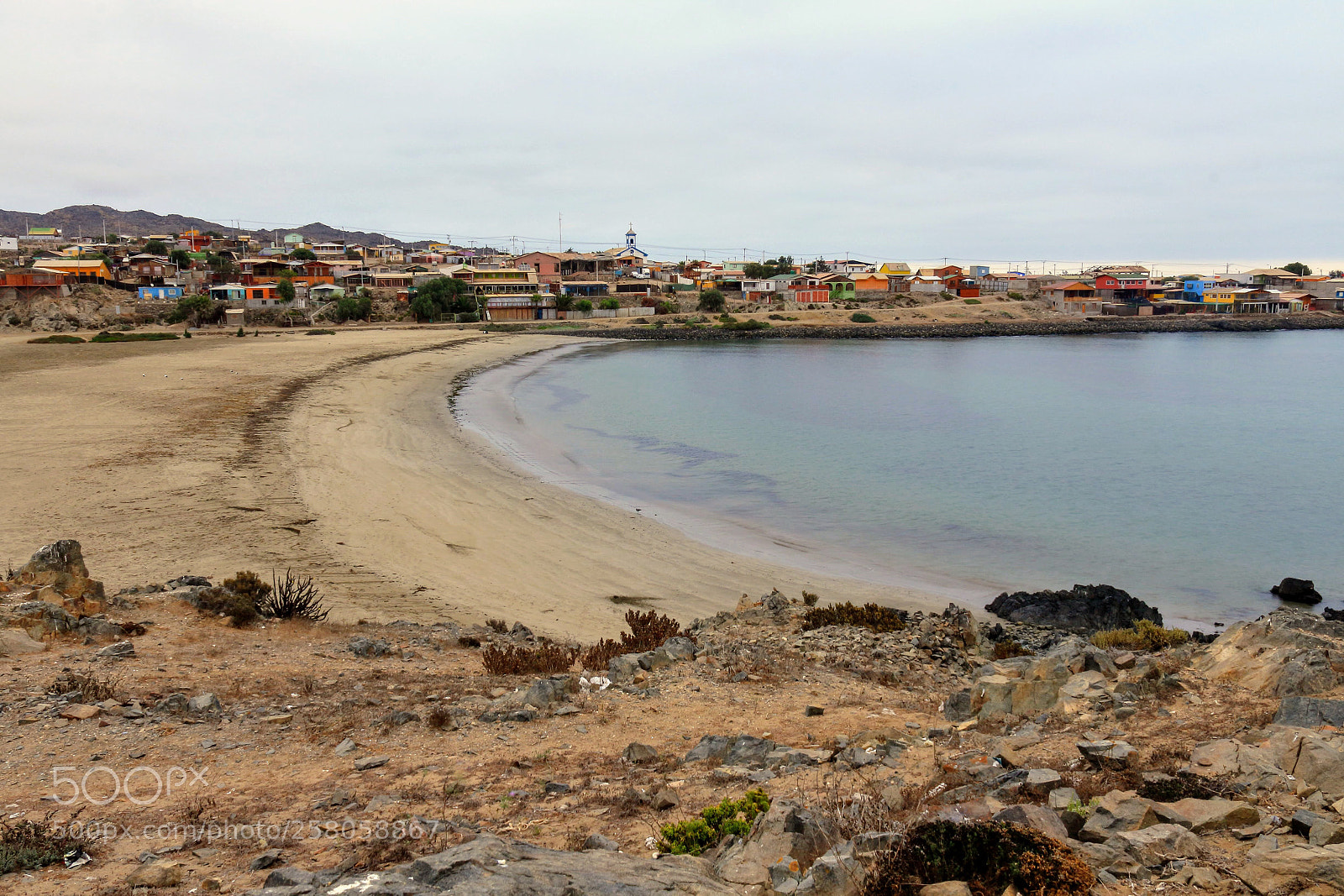 Canon EOS 1200D (EOS Rebel T5 / EOS Kiss X70 / EOS Hi) sample photo. Carrizal bajo otoñal  photography
