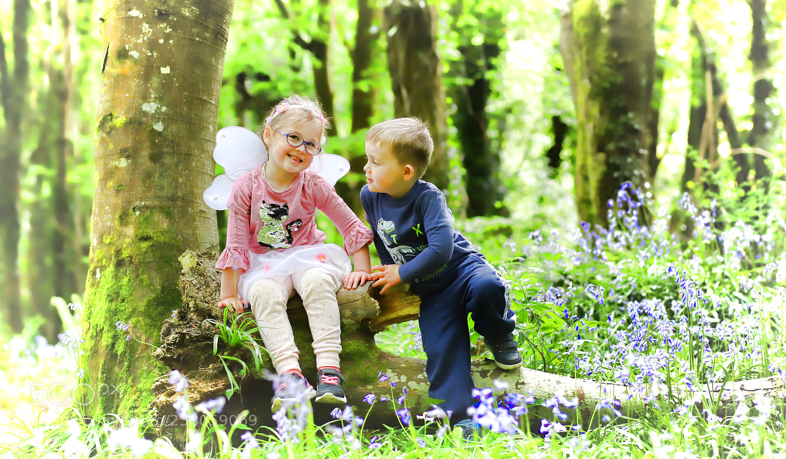 Canon EOS 6D Mark II sample photo. In the woods photography