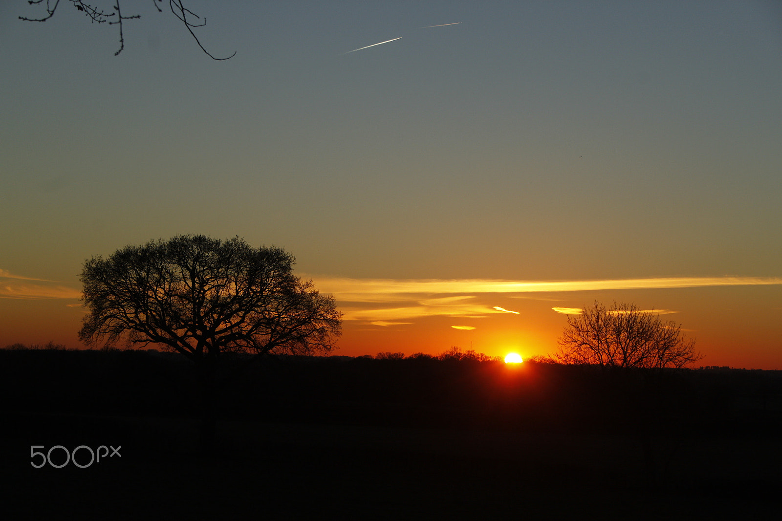 Canon EF-S 18-55mm F3.5-5.6 II sample photo. Tree sunset photography