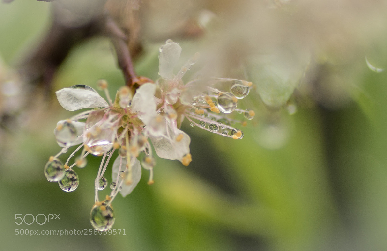 Sony ILCA-77M2 sample photo. On a rainy saturday photography