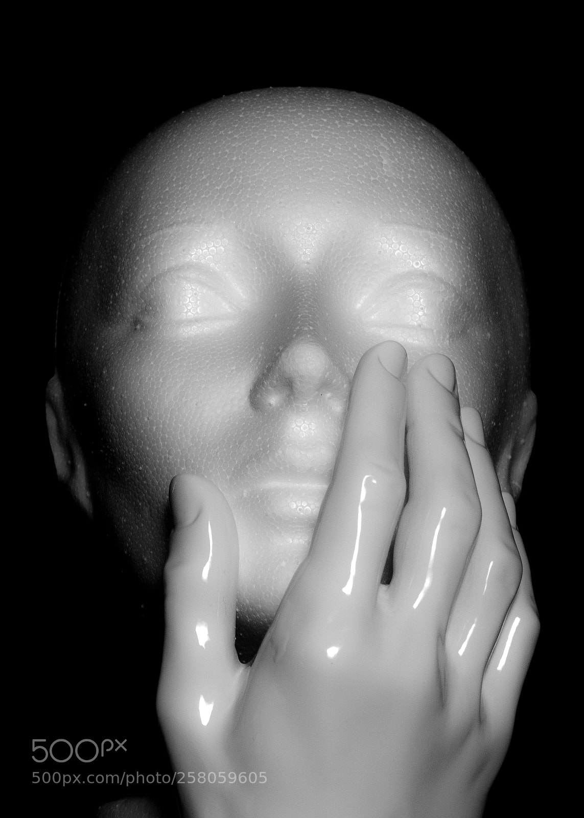 Canon EOS 70D sample photo. Still life // nature morte photography