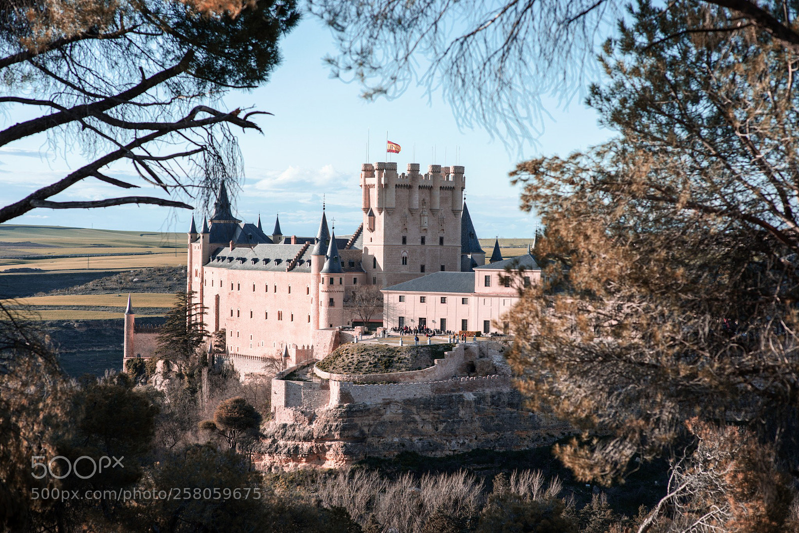 Nikon D800 sample photo. Alcazar segovia photography