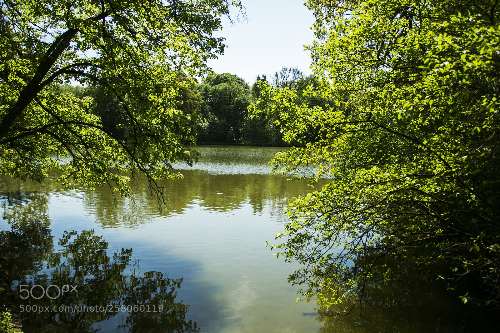 Canon EOS 70D sample photo. Natur photography