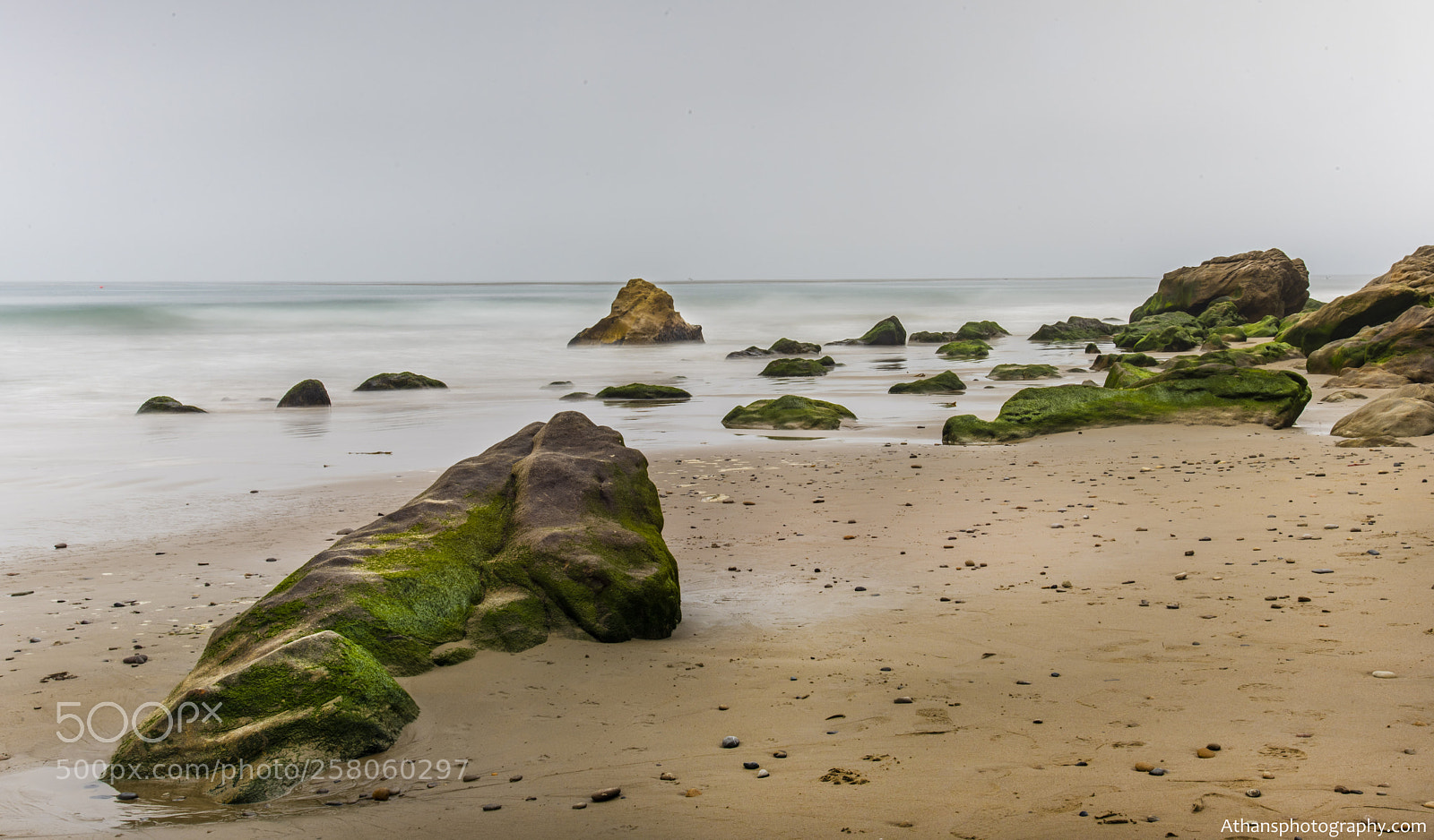 Nikon D810 sample photo. Untitled photography