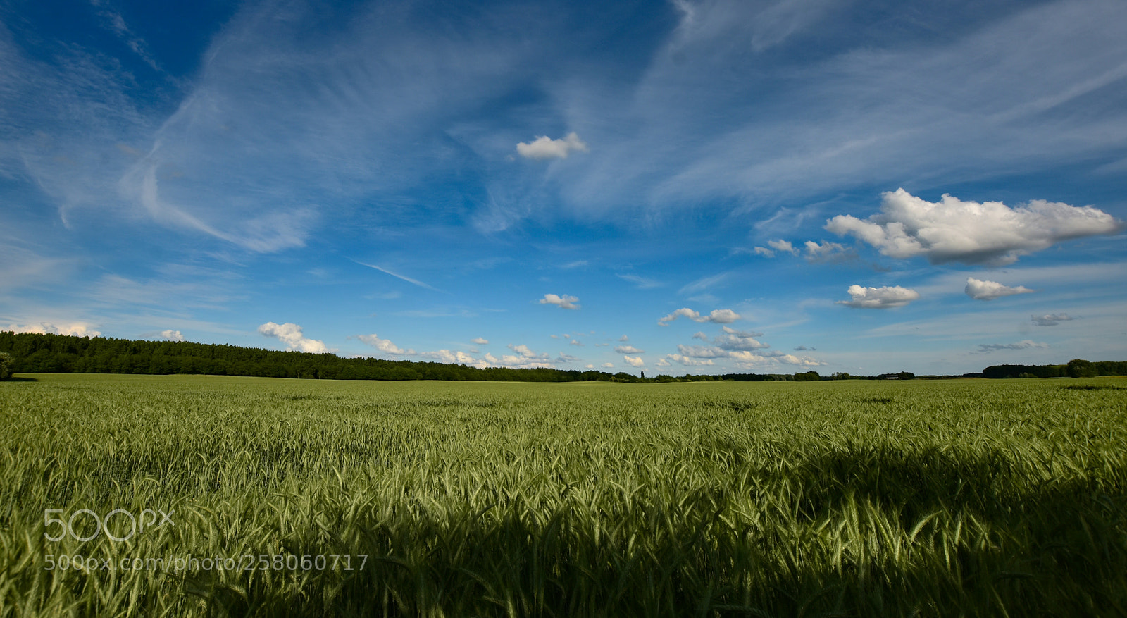 Nikon D7200 sample photo. Untitled photography