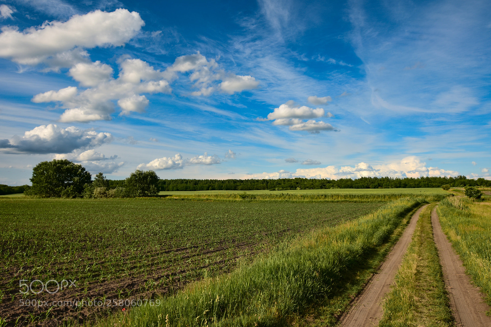 Nikon D7200 sample photo. Untitled photography
