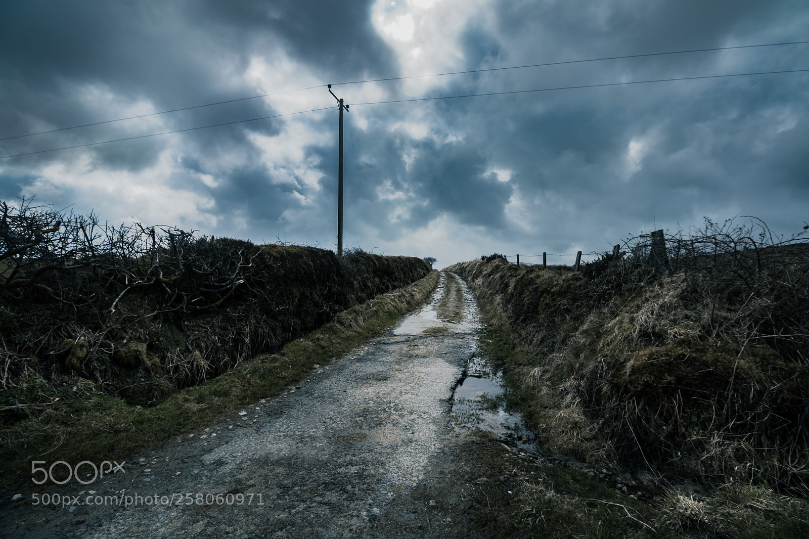 Canon EOS 760D (EOS Rebel T6s / EOS 8000D) sample photo. Bodmin moore, bolventor photography