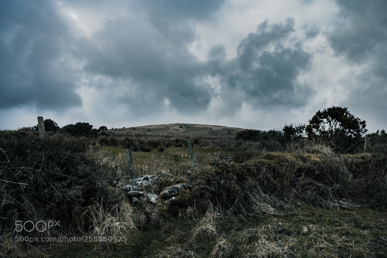 Canon EOS 760D (EOS Rebel T6s / EOS 8000D) sample photo. Bodmin moore, bolventor photography