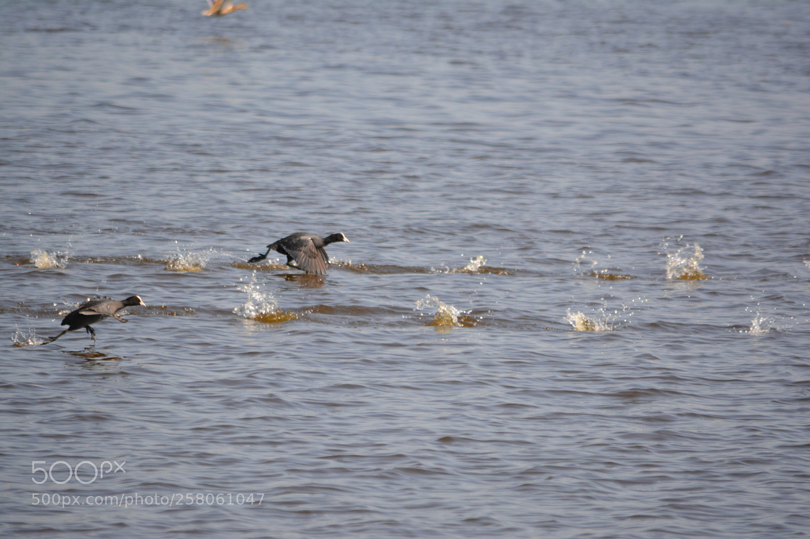 Nikon D5200 sample photo. Untitled photography