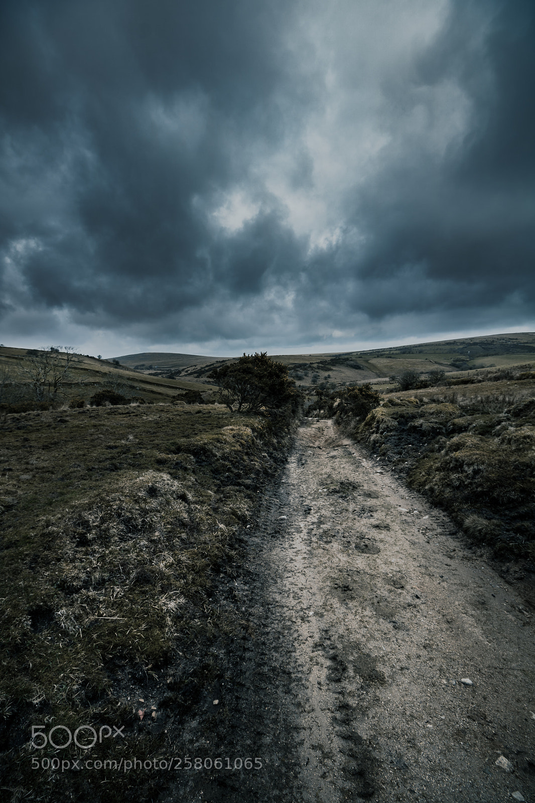 Canon EOS 760D (EOS Rebel T6s / EOS 8000D) sample photo. Bodmin moore, bolventor photography