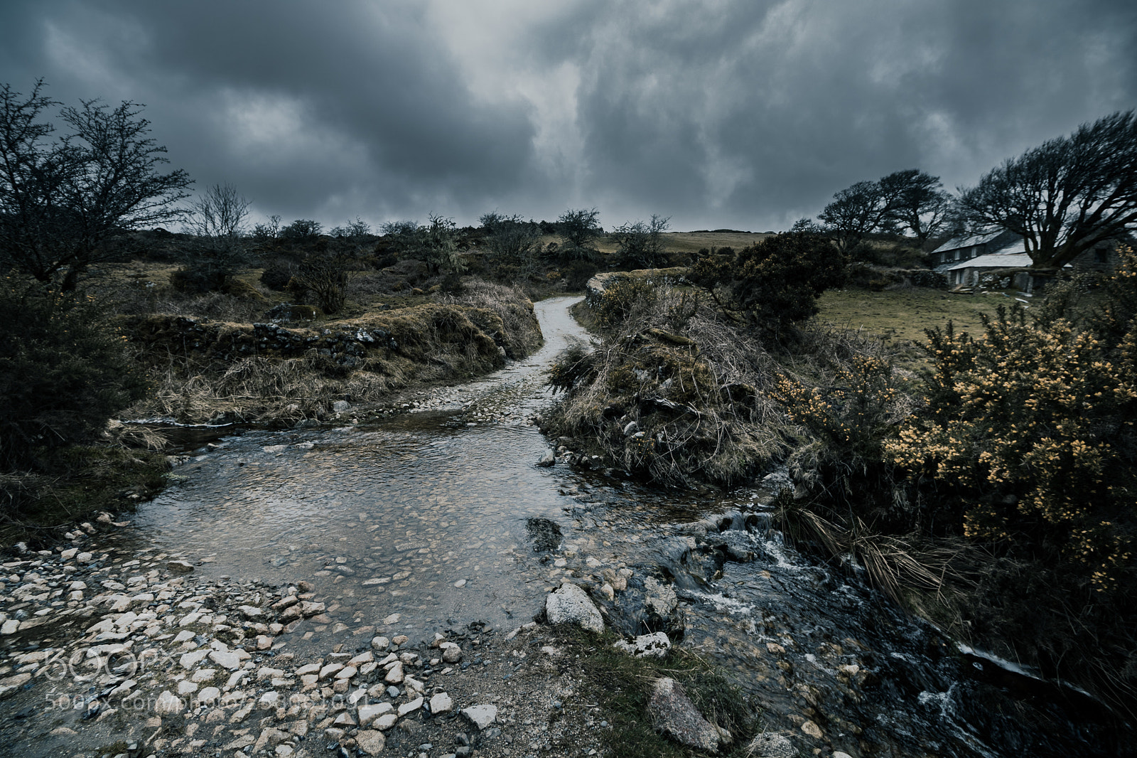 Canon EOS 760D (EOS Rebel T6s / EOS 8000D) sample photo. Bodmin moore, bolventor photography