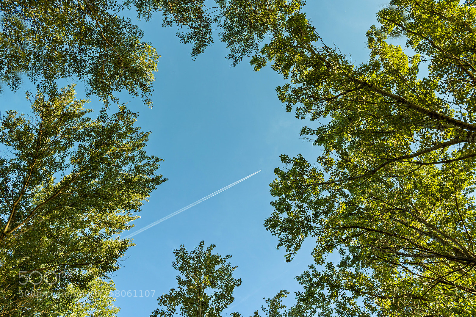 Canon EOS 750D (EOS Rebel T6i / EOS Kiss X8i) sample photo. Eyes in the sky photography