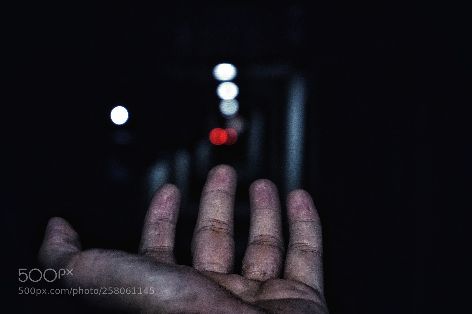 Sony a6300 sample photo. Untitled photography