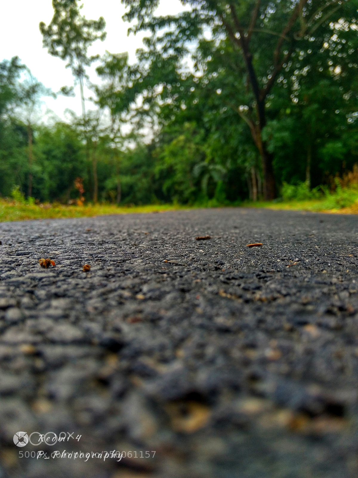 Xiaomi Redmi 4 Pro sample photo. Strayed_ photography