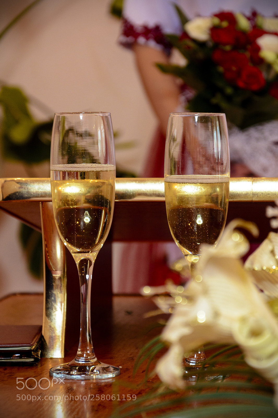 Nikon D7100 sample photo. Fairy glasses are full photography