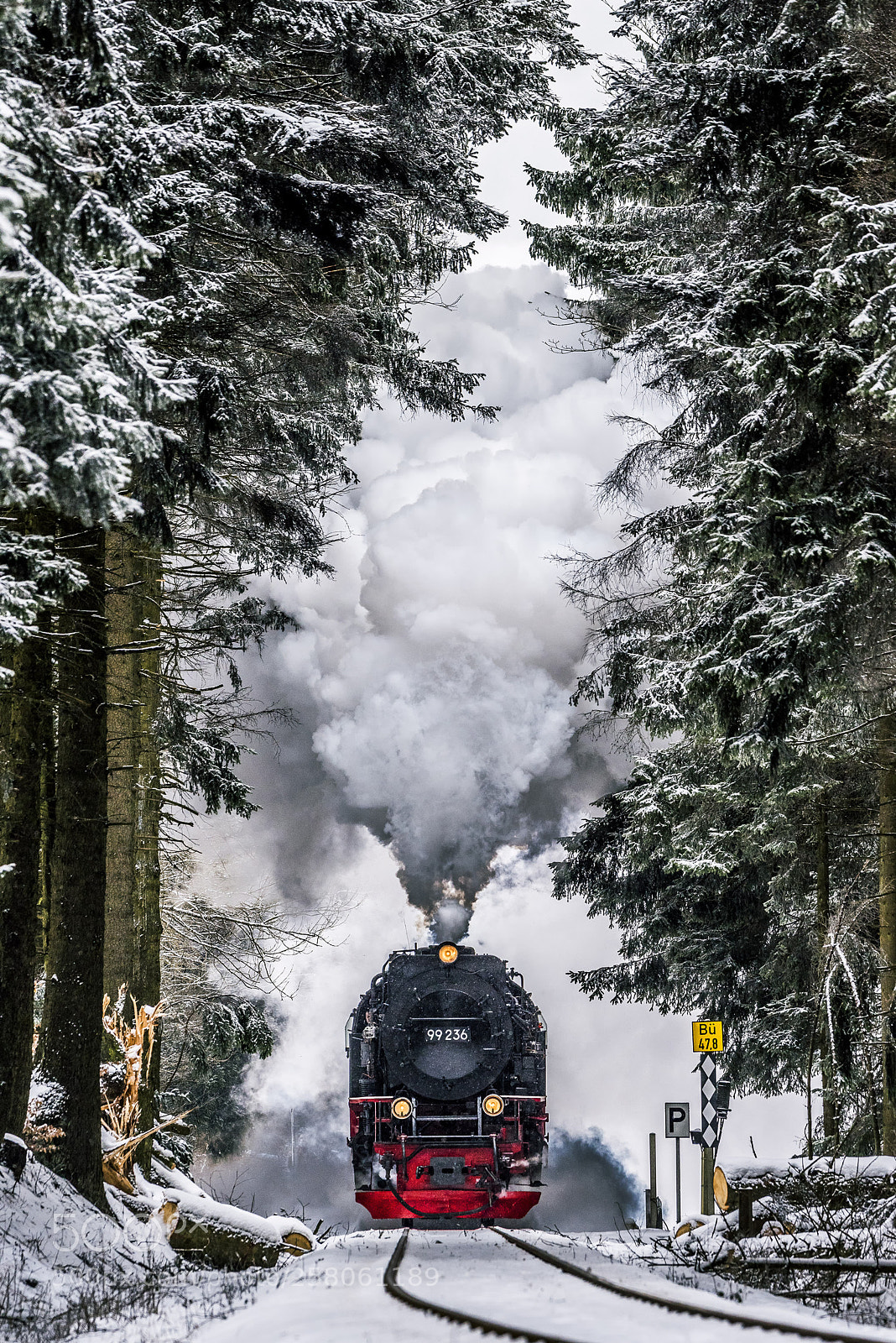 Nikon D810 sample photo. Train to brocken photography