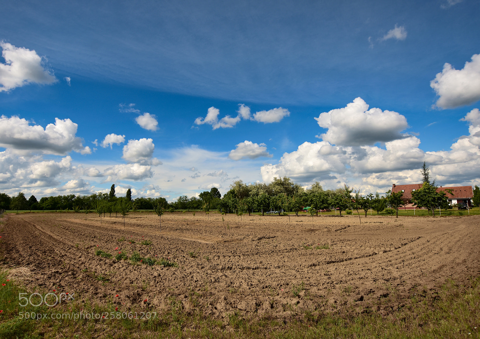 Nikon D7200 sample photo. Untitled photography