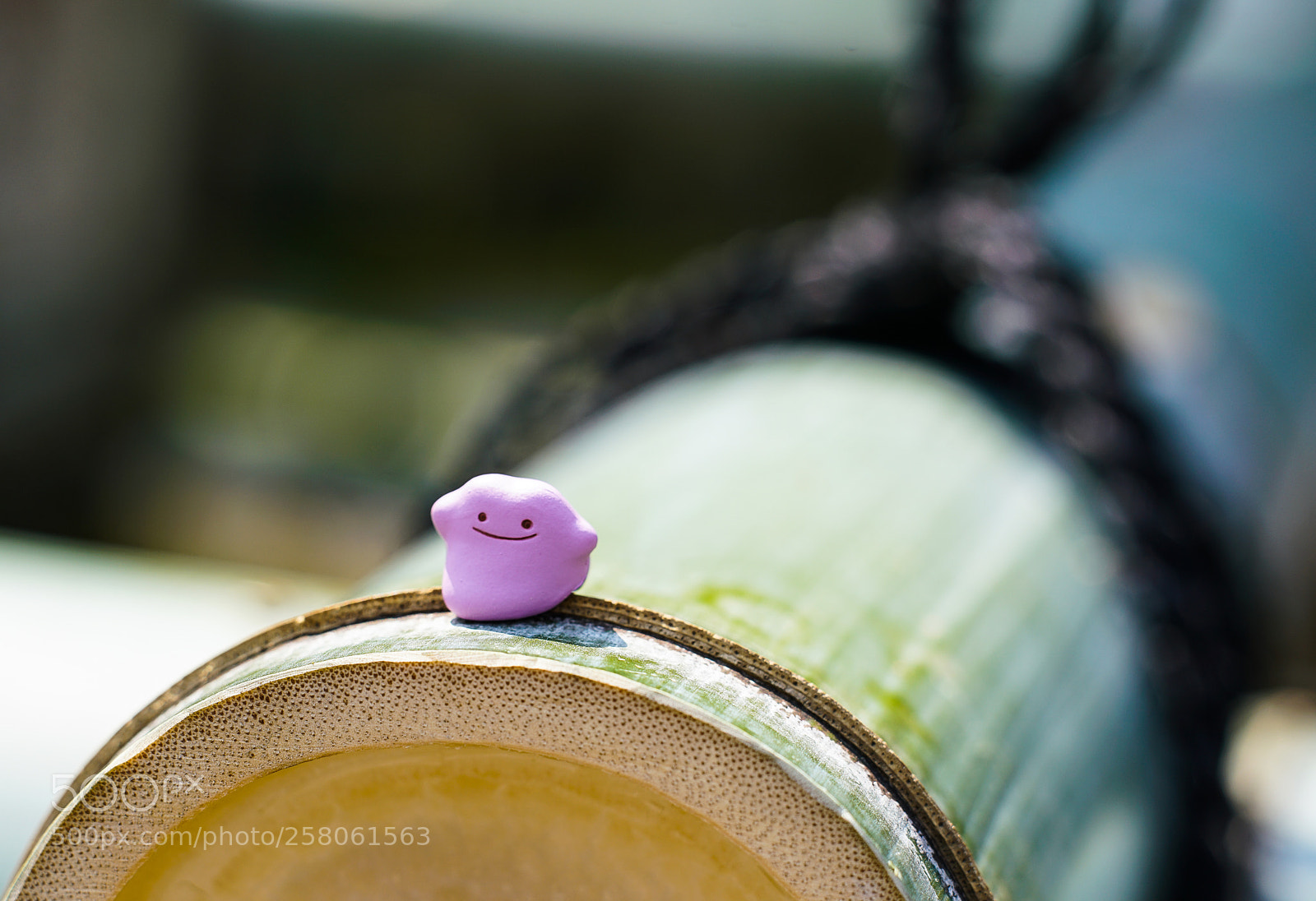 Sony a7R II sample photo. Silly putty photography