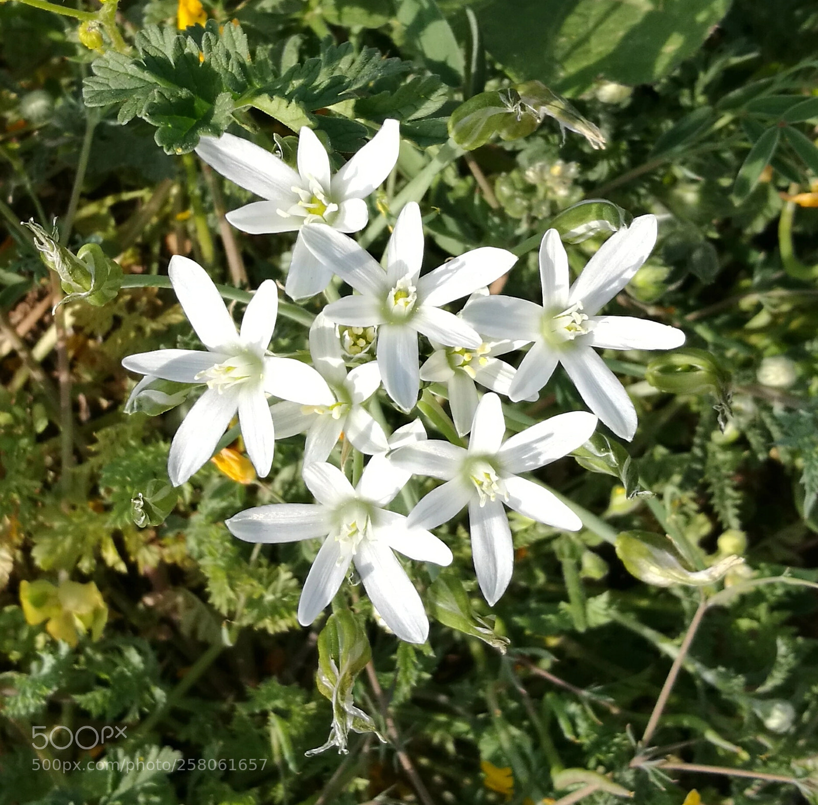 HUAWEI P9 sample photo. Untitled photography