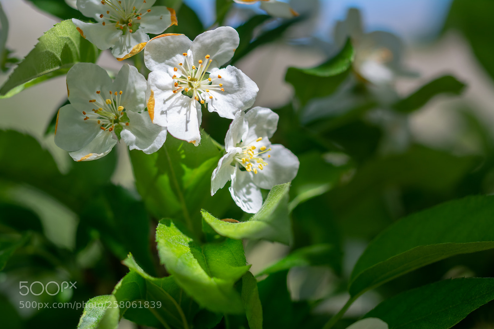 Nikon D7100 sample photo. Untitled photography