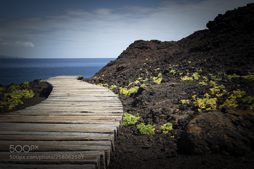 Canon EOS 7D Mark II sample photo. Path photography